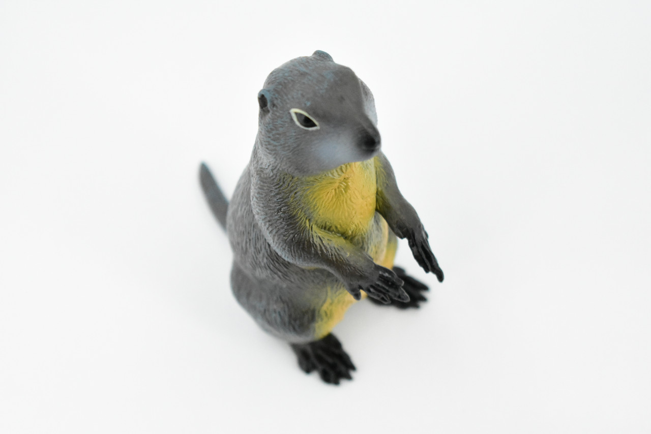 Marmot, Ground Squirrels, Marmota, Museum Quality, Hand Painted, Rubber Mammal, Realistic Toy Figure, Replica, Kids, Educational, Gift,     4 1/2"    CH242 BB122 