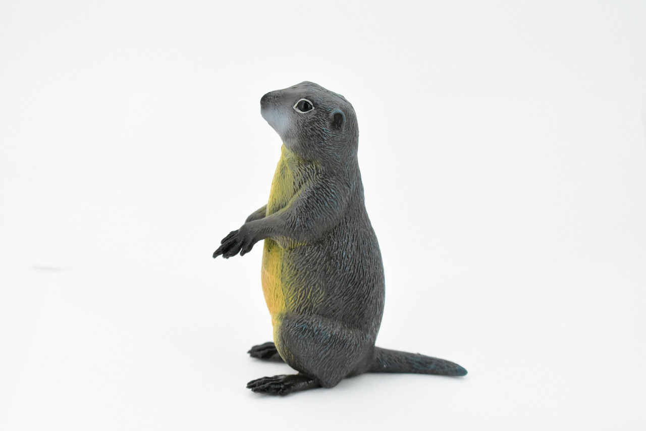 Marmot, Ground Squirrels, Marmota, Museum Quality, Hand Painted, Rubber Mammal, Realistic Toy Figure, Replica, Kids, Educational, Gift,     4 1/2"    CH242 BB122 