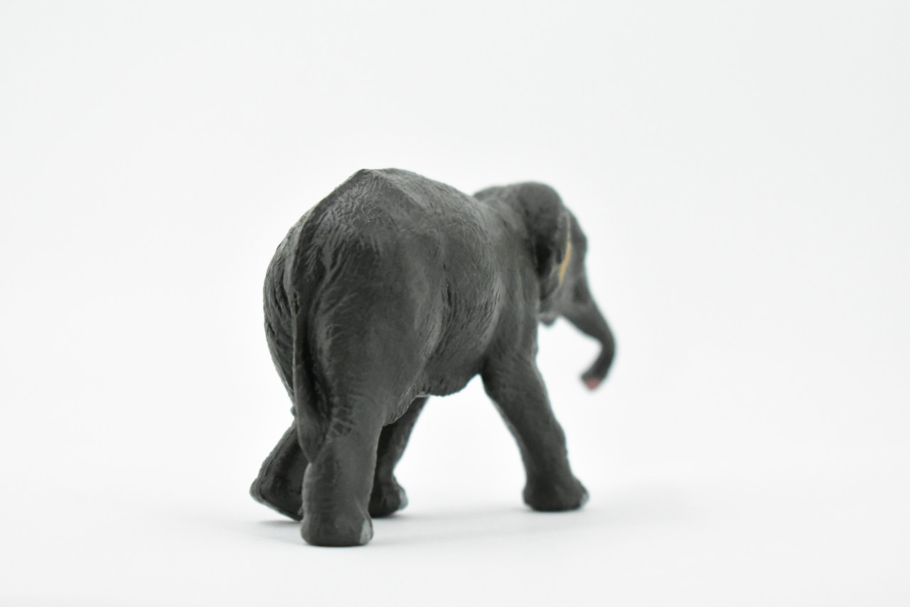 Elephant, Asian, Baby, Calf, Museum Quality, Hand Painted, Rubber Mammal, Realistic Toy Figure, Replica, Kids, Educational, Gift,     4 1/2"    CH243 BB122 