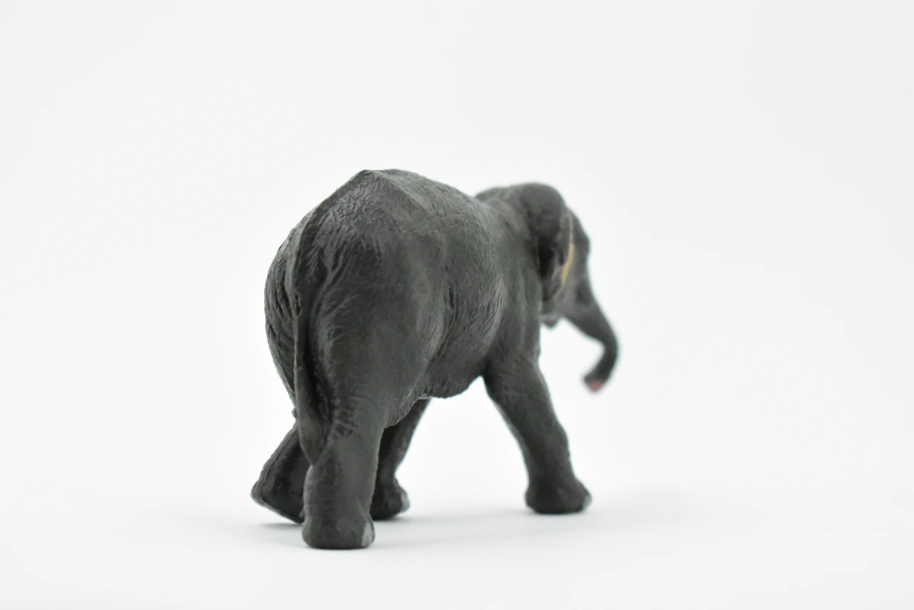 Asian Elephant, Baby, Calf, Museum Quality, Hand Painted, Educational, Rubber Animal, Realistic Toy Figure, Diorama Model, Kids, 4 1/2 Inches.