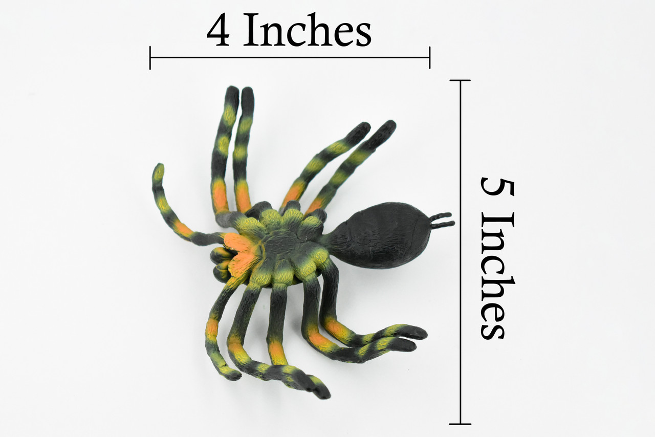 Spider, Tarantula, Museum Quality, Hand Painted, Rubber Arachnida, Realistic Toy Figure, Model, Replica, Kids, Educational, Gift,      5"     CH246 BB122