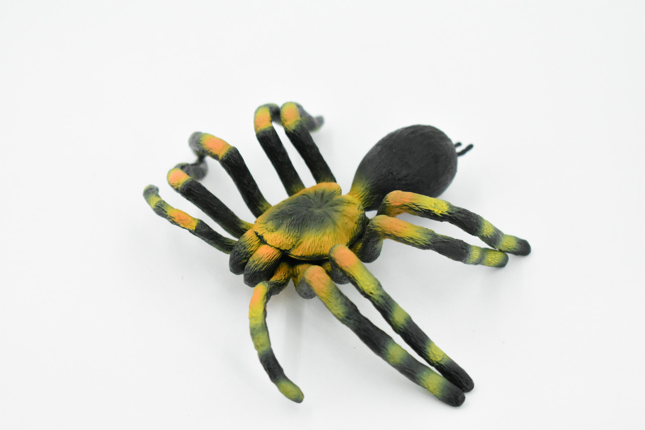 Spider, Tarantula, Museum Quality, Hand Painted, Rubber Arachnida, Realistic Toy Figure, Model, Replica, Kids, Educational, Gift,      5"     CH246 BB122