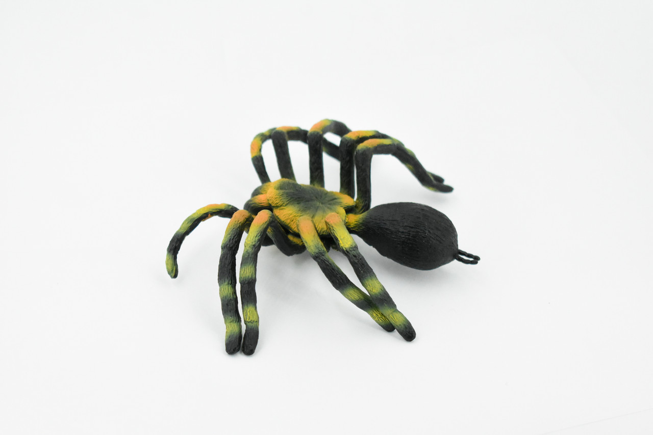 Spider, Tarantula, Museum Quality, Hand Painted, Rubber Arachnida, Realistic Toy Figure, Model, Replica, Kids, Educational, Gift,      5"     CH246 BB122
