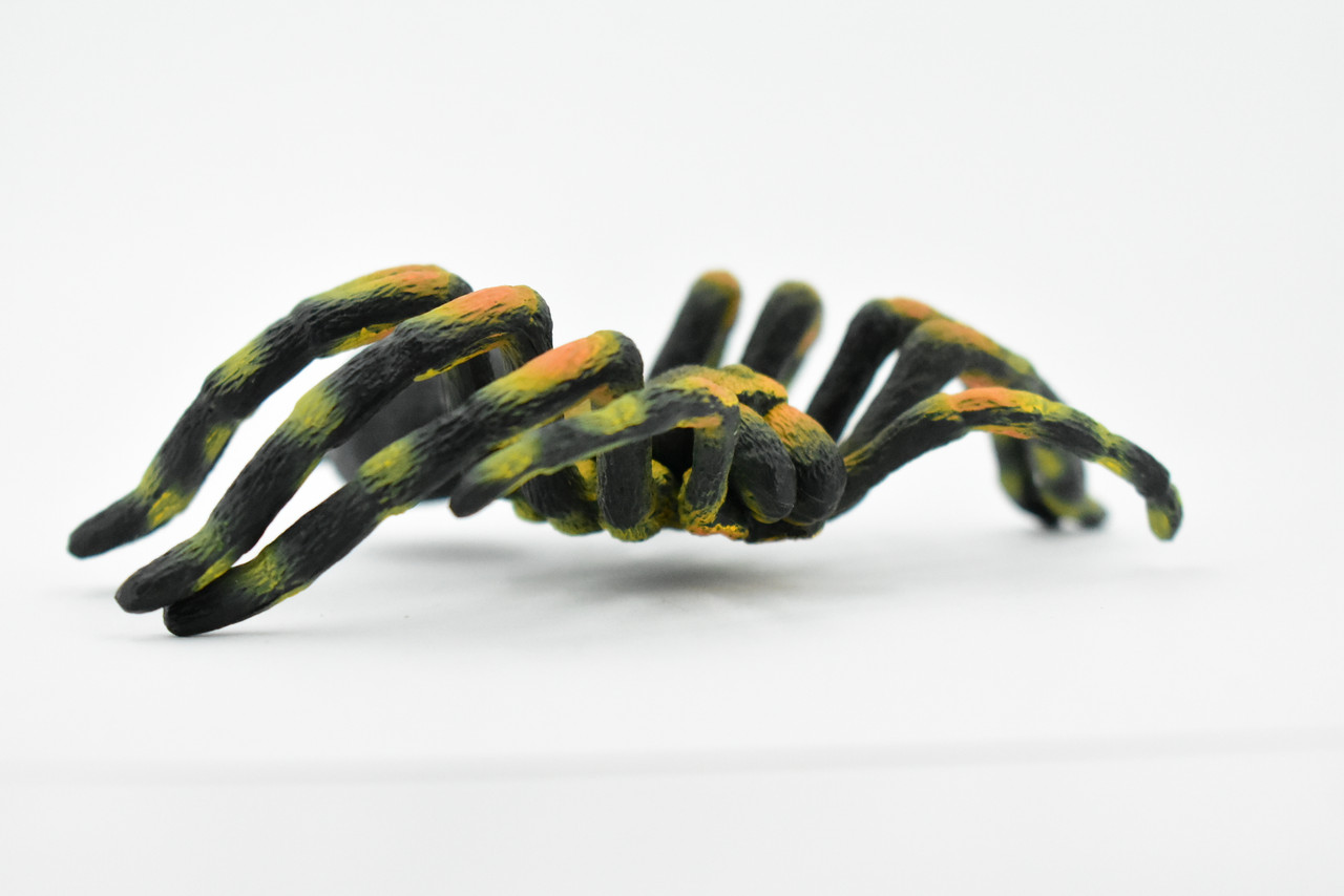 Giant Tarantula Spider, Arachnida, Museum Quality, Educational, Hand Painted, Rubber Insect, Diorama Model, Realistic, Kids, Toys,  5 Inches. 