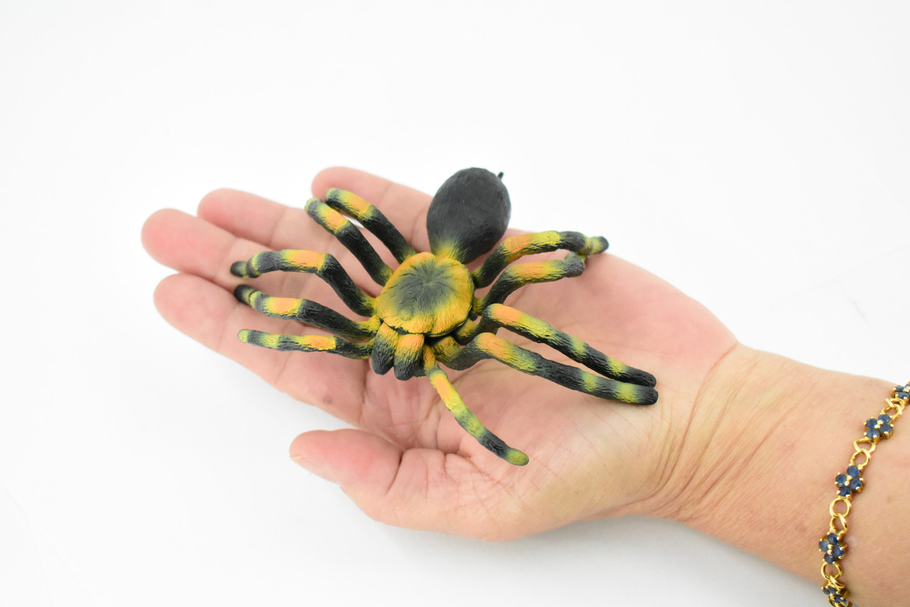 Spider, Tarantula, Museum Quality, Hand Painted, Rubber Arachnida, Realistic Toy Figure, Model, Replica, Kids, Educational, Gift,      5"     CH246 BB122