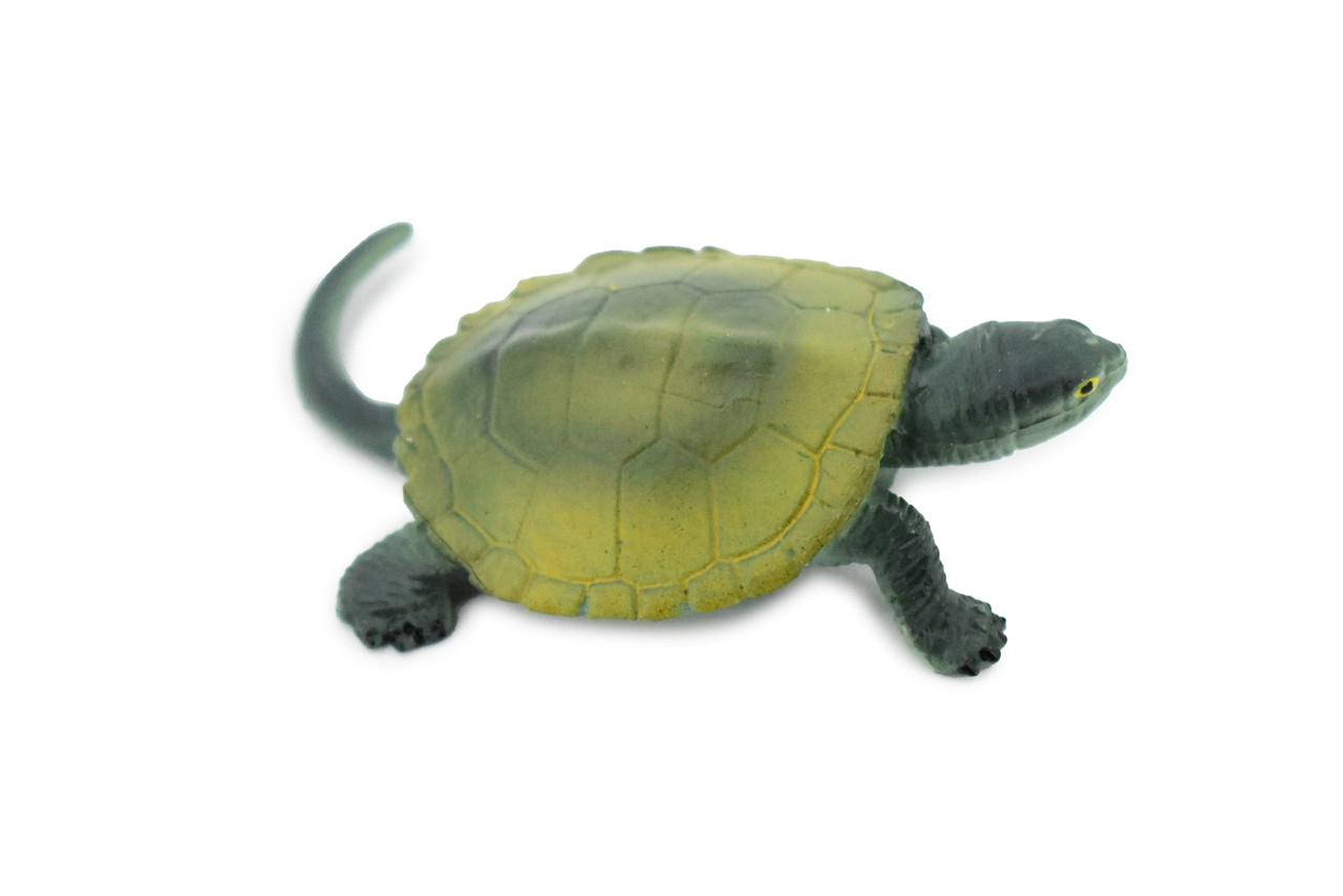 Turtle, Japanese Pond Turtle, Terrapin, Hand Painted, Rubber Reptile, Realistic Toy Figure, Model, Replica, Kids, Educational, Gift,     2 1/2"    CH247 BB123
