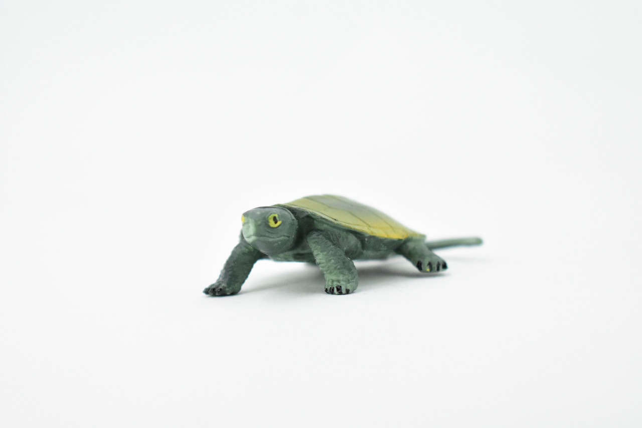 Turtle, Japanese Pond Turtle, Terrapin, Hand Painted, Rubber Reptile, Realistic Toy Figure, Model, Replica, Kids, Educational, Gift,     2 1/2"    CH247 BB123