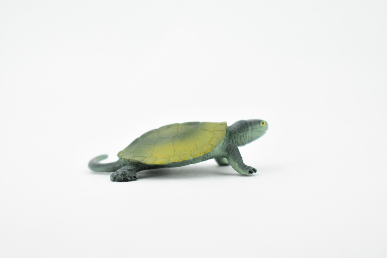 Turtle, Japanese Pond Turtle, Terrapin, Hand Painted, Rubber Reptile, Realistic Toy Figure, Model, Replica, Kids, Educational, Gift,     2 1/2"    CH247 BB123