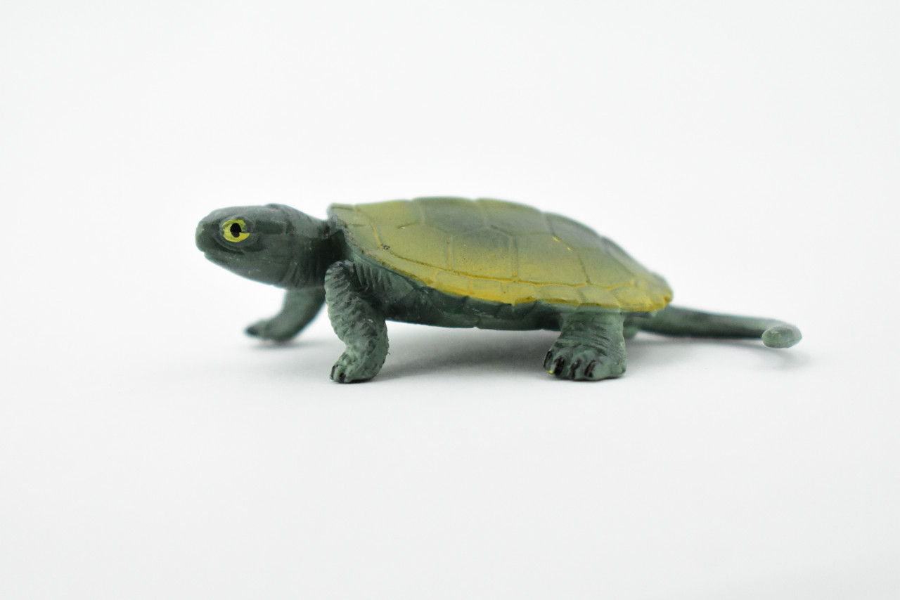 Turtle, Japanese Pond Turtle, Terrapin, Hand Painted, Rubber Reptile, Realistic Toy Figure, Model, Replica, Kids, Educational, Gift,     2 1/2"    CH247 BB123