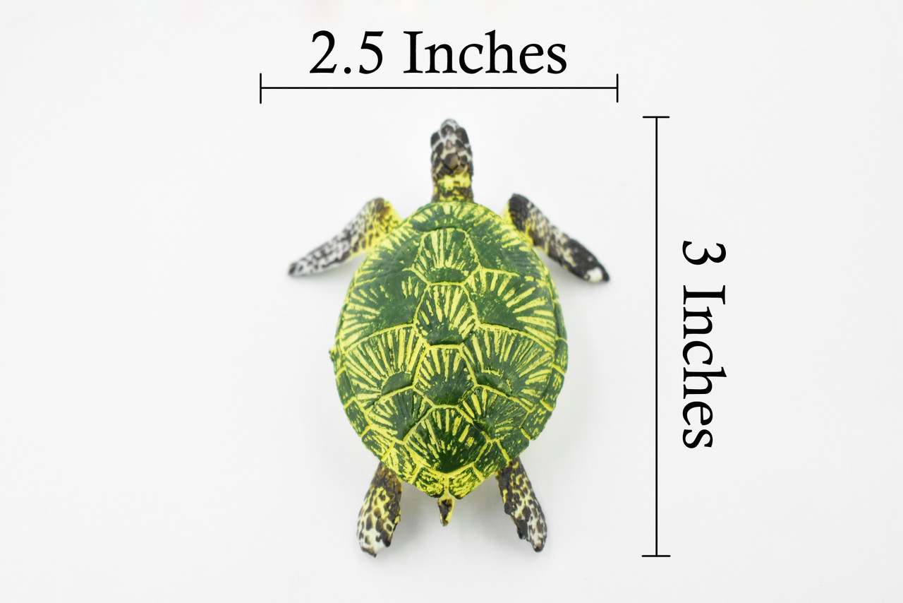 Turtle, Green Sea Turtle, Museum Quality, Hand Painted, Rubber  Reptile, Realistic Toy Figure, Model, Replica, Kids, Educational, Gift,    3"     CH249 BB123