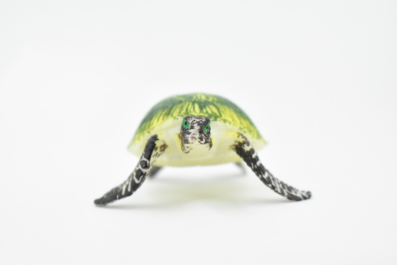 Turtle, Green Sea Turtle, Museum Quality, Hand Painted, Rubber  Reptile, Realistic Toy Figure, Model, Replica, Kids, Educational, Gift,    3"     CH249 BB123