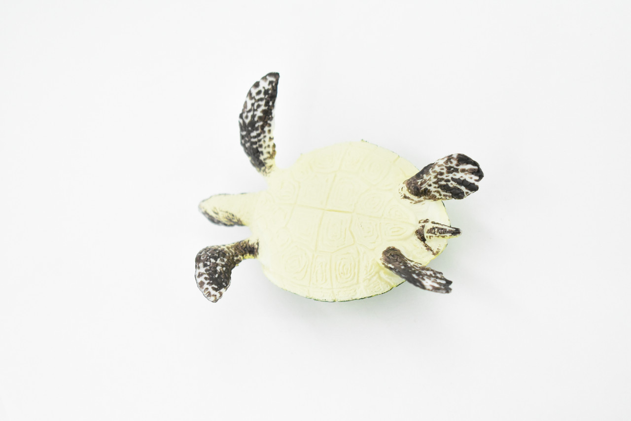 Turtle, Green Sea Turtle, Museum Quality, Hand Painted, Rubber  Reptile, Realistic Toy Figure, Model, Replica, Kids, Educational, Gift,    3"     CH249 BB123