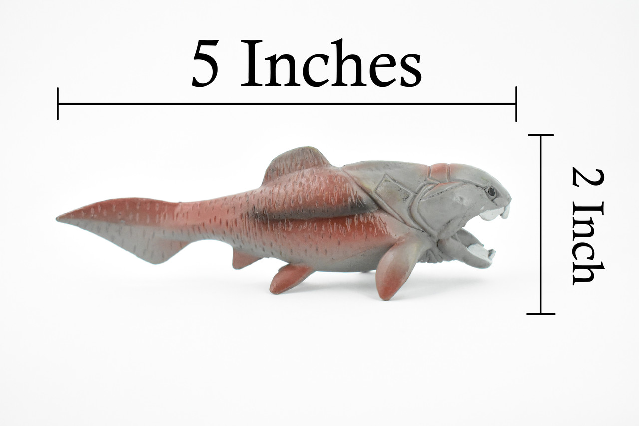 Dunkleosteus, Prehistoric Fish, Dinosaur, Museum Quality, Rubber Fish, Hand Painted, Realistic Toy Figure, Diorama Model, Kids, Educational,  5 Inches.
