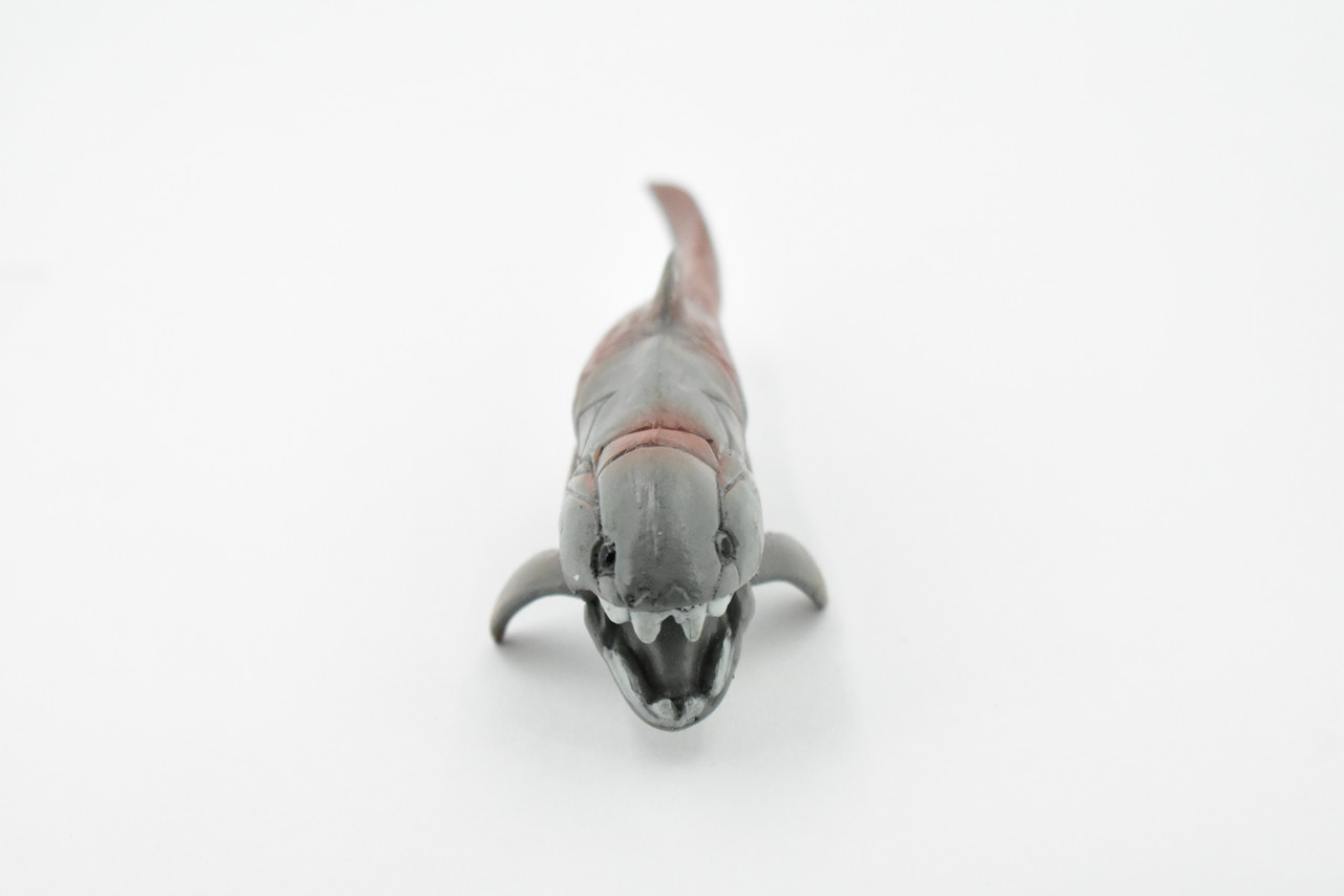 Dunkleosteus, Prehistoric Fish, Dinosaur, Museum Quality, Hand Painted, Very Realistic Rubber Figure, Model, Educational,       5"     CH251 BB123