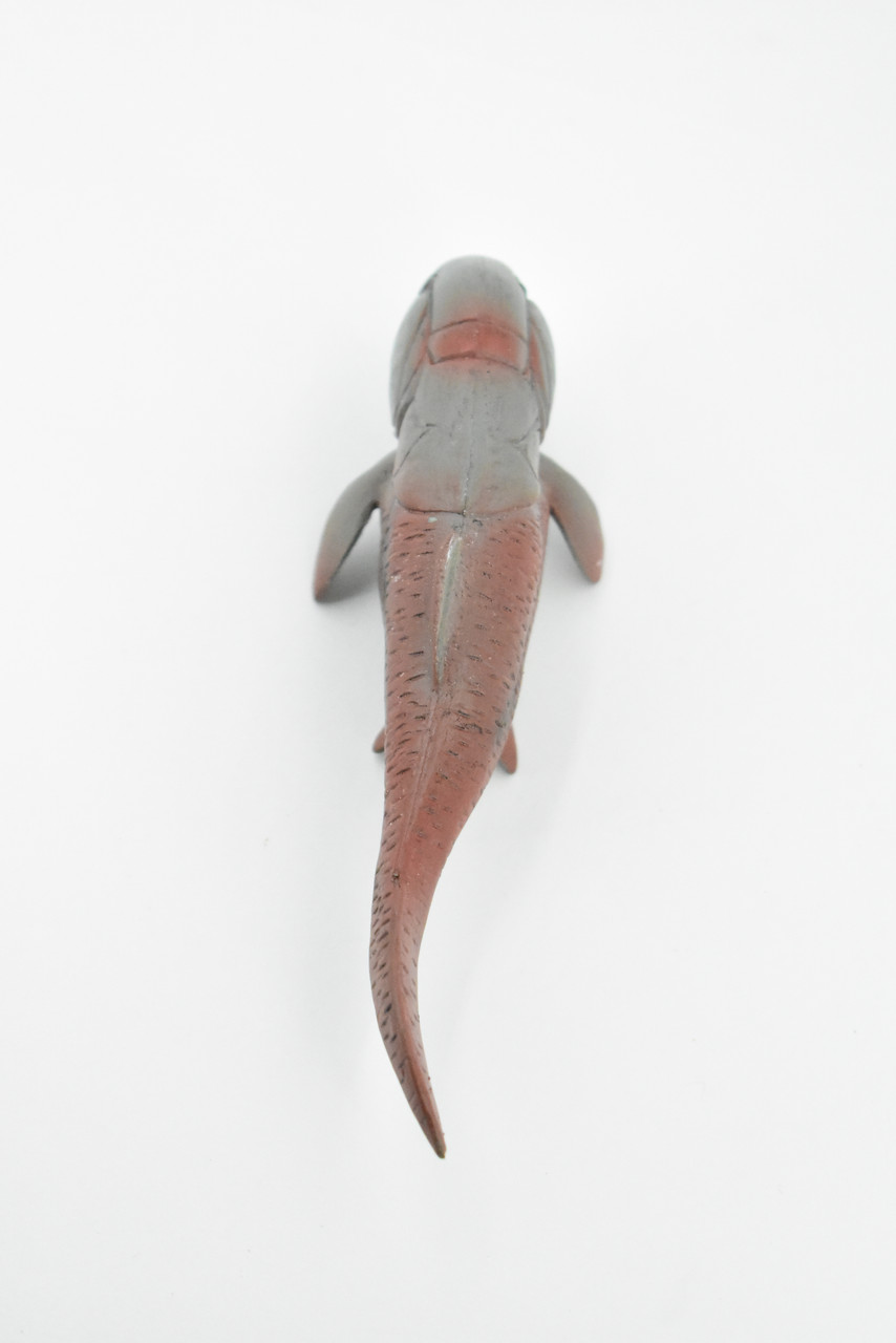 Dunkleosteus, Prehistoric Fish, Dinosaur, Museum Quality, Rubber Fish, Hand Painted, Realistic Toy Figure, Diorama Model, Kids, Educational,  5 Inches.