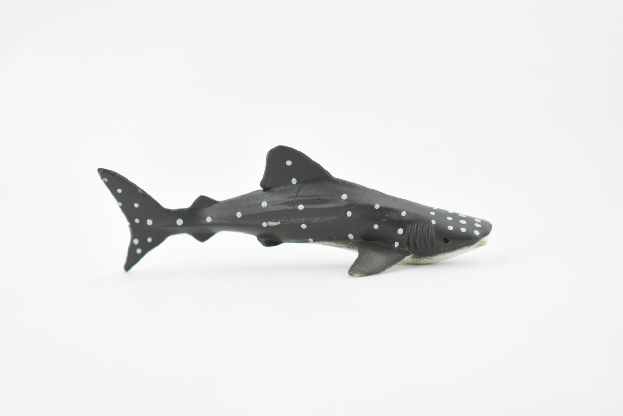 Whale Shark, Hand Painted, Rubber Fish, Educational, Realistic Hand Painted Figure, Lifelike Figurine, Replica, Gift,      3"    CH253 BB123