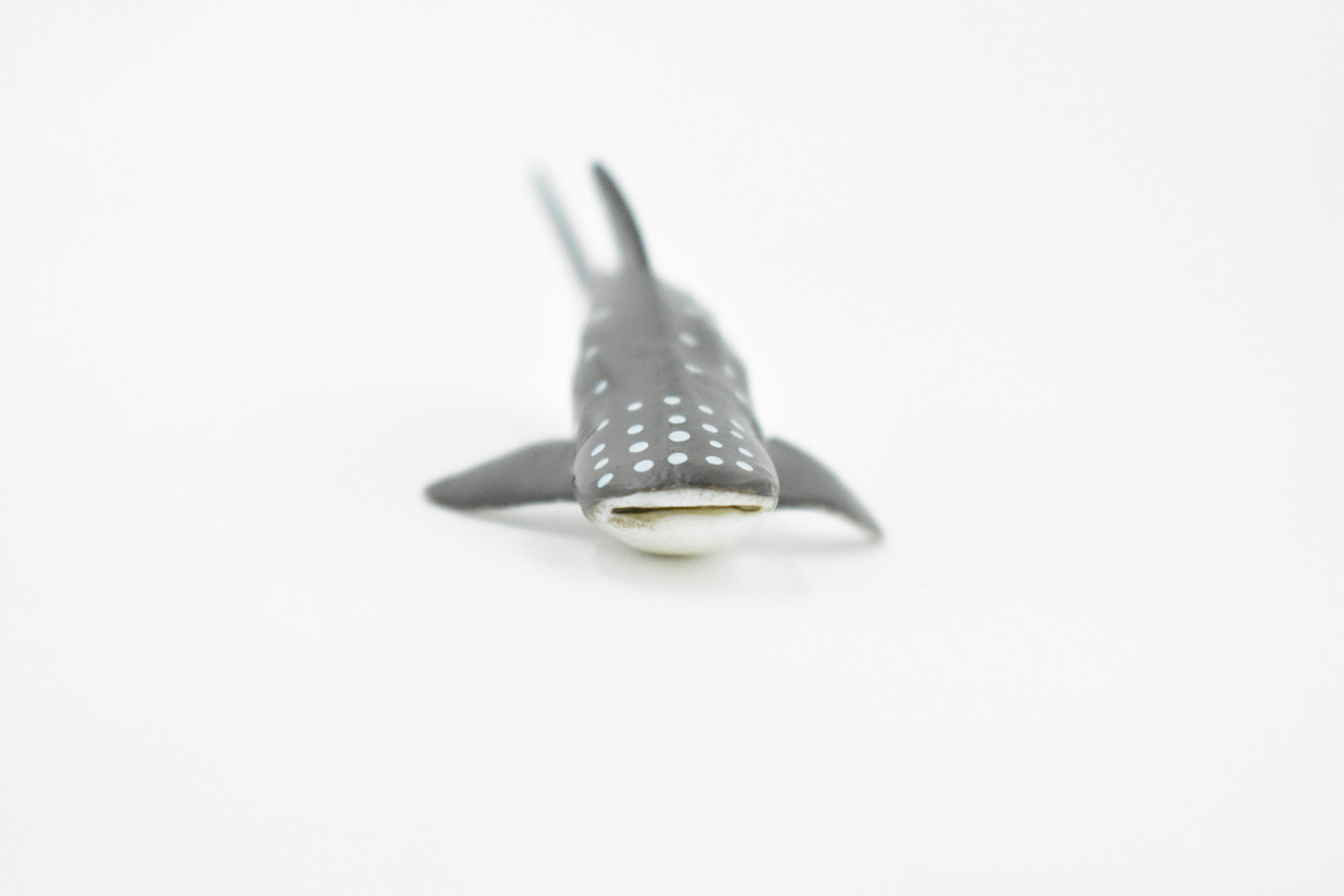Whale Shark, Gentle Giant, Very Nice Design, Hand Painted, Educational, Rubber Fish, Diorama Model, Replica, Realistic Toy Figure, Kids, 3 Inches. 