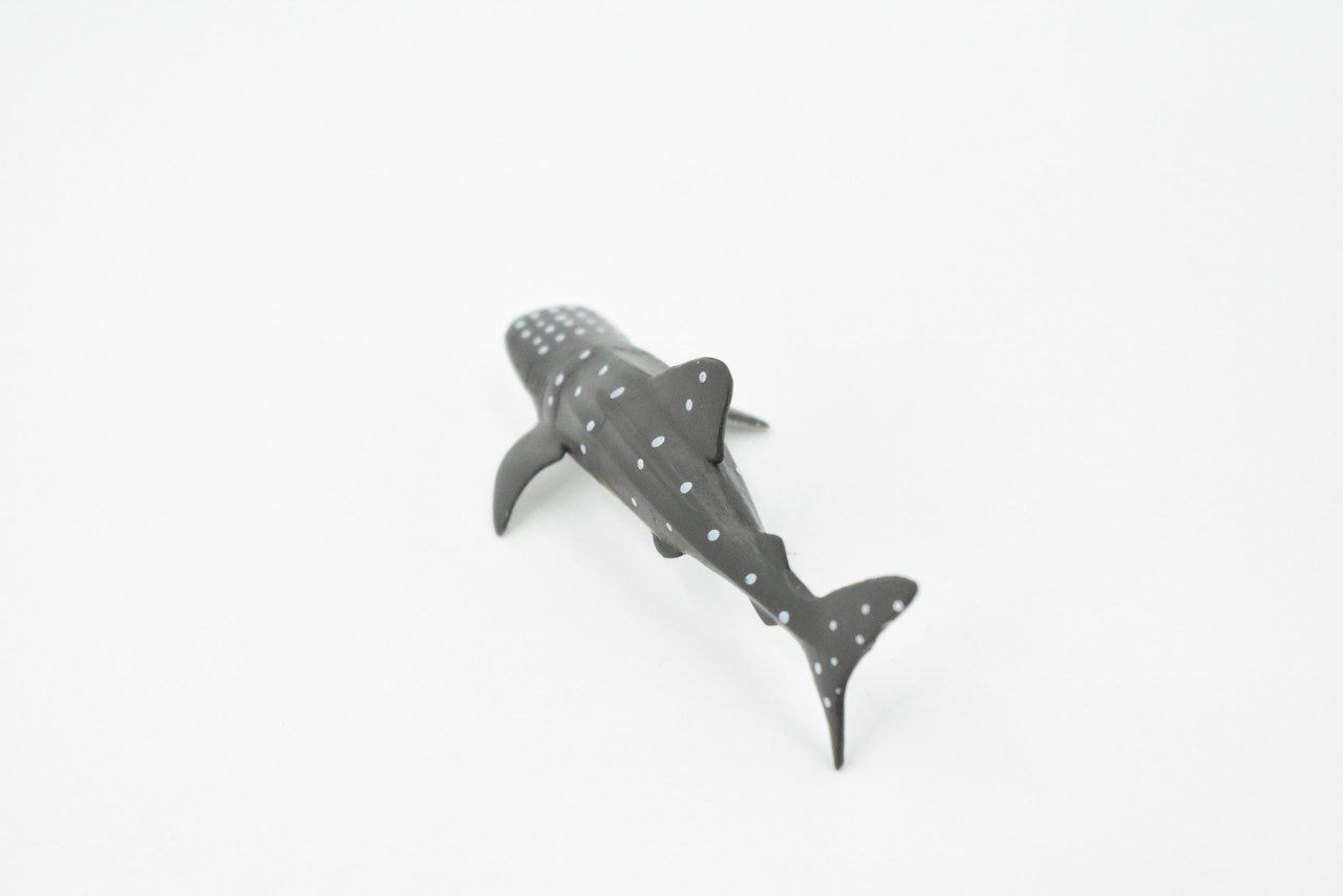 Whale Shark, Gentle Giant, Very Nice Design, Hand Painted, Educational, Rubber Fish, Diorama Model, Replica, Realistic Toy Figure, Kids, 3 Inches. 