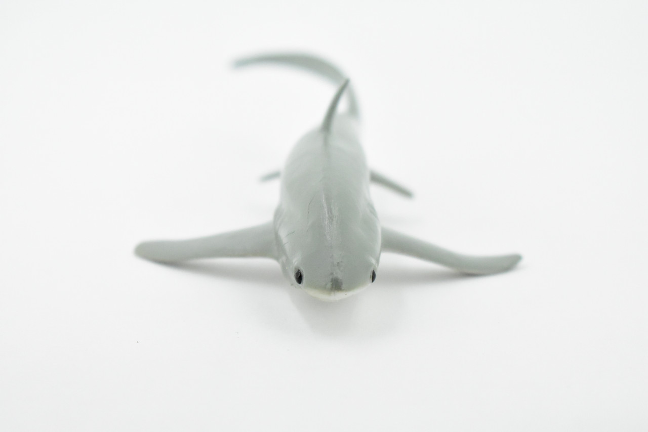 Shark, Thresher Shark, Museum Quality, Hand Painted, Rubber Fish, Realistic Toy Figure, Model, Replica, Kids, Educational, Gift,     6 1/2"    CH254 BB123