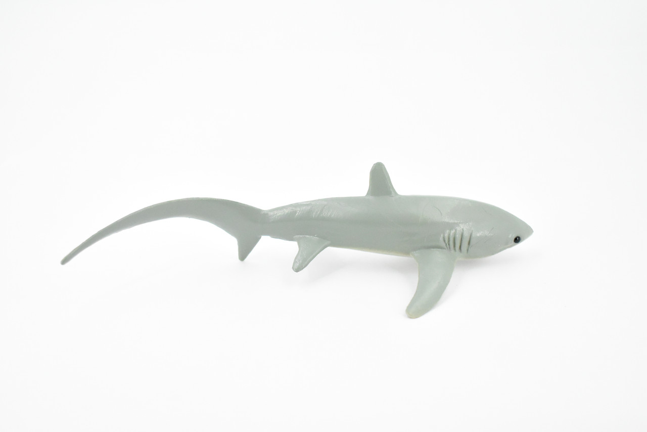 Shark, Thresher Shark, Museum Quality, Hand Painted, Rubber Fish, Realistic Toy Figure, Model, Replica, Kids, Educational, Gift,     6 1/2"    CH254 BB123