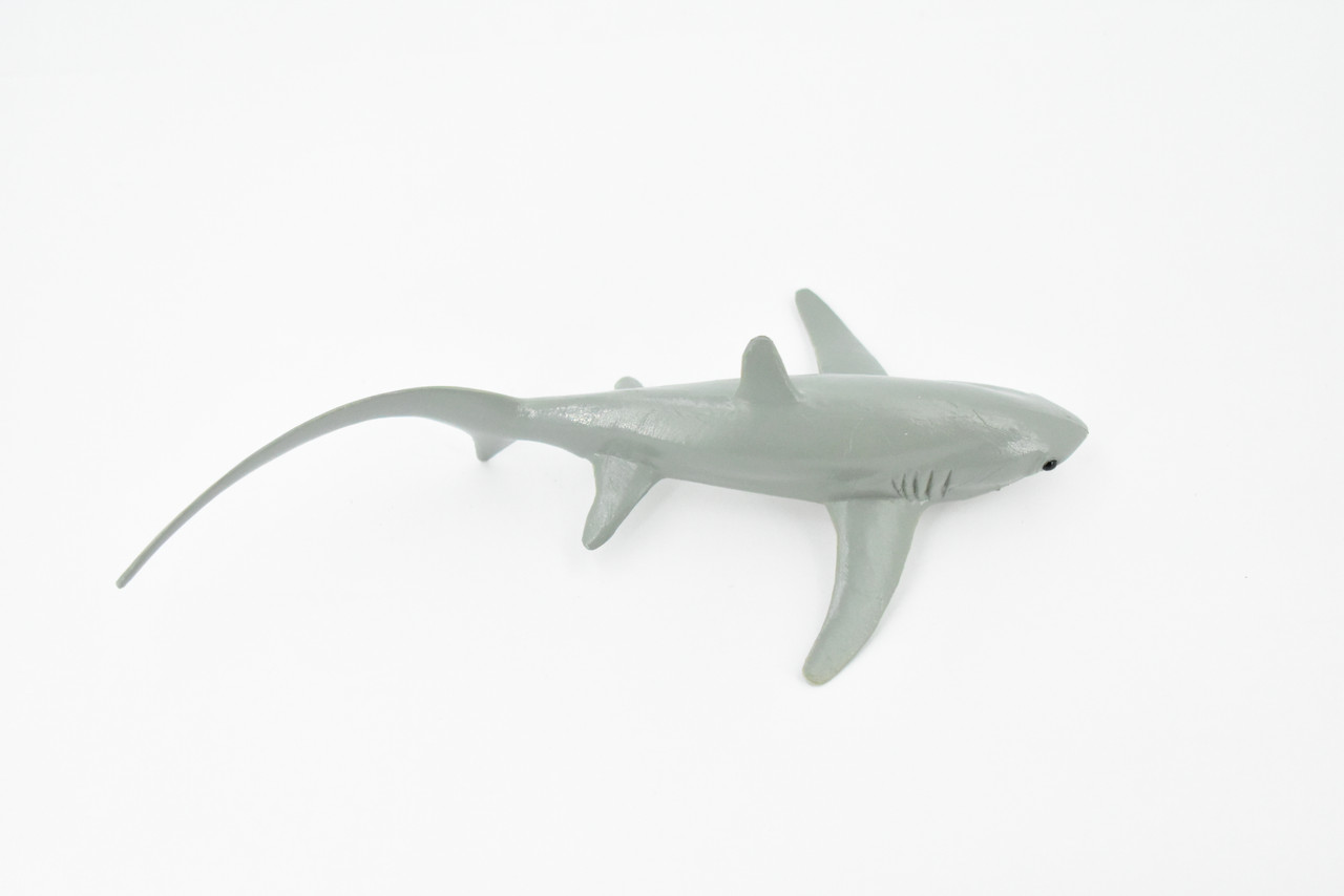 Shark, Thresher Shark, Museum Quality, Hand Painted, Rubber Fish, Realistic Toy Figure, Model, Replica, Kids, Educational, Gift,     6 1/2"    CH254 BB123