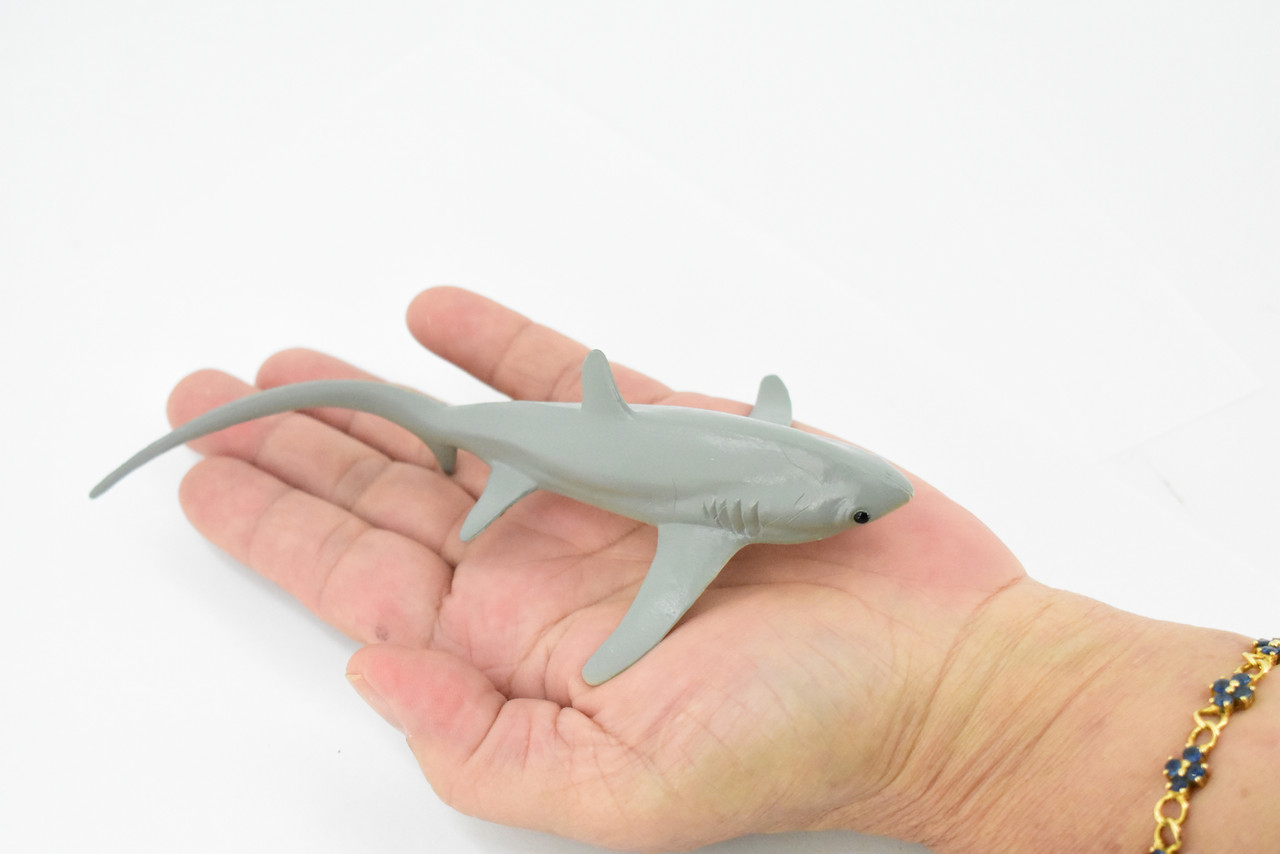 Thresher Shark, Whiptail shark, Museum Quality, Educational, Hand Painted, Rubber Fish, Realistic Toy Figure, Diorama Model, Replica, Kids,  6 1/2 Inches.