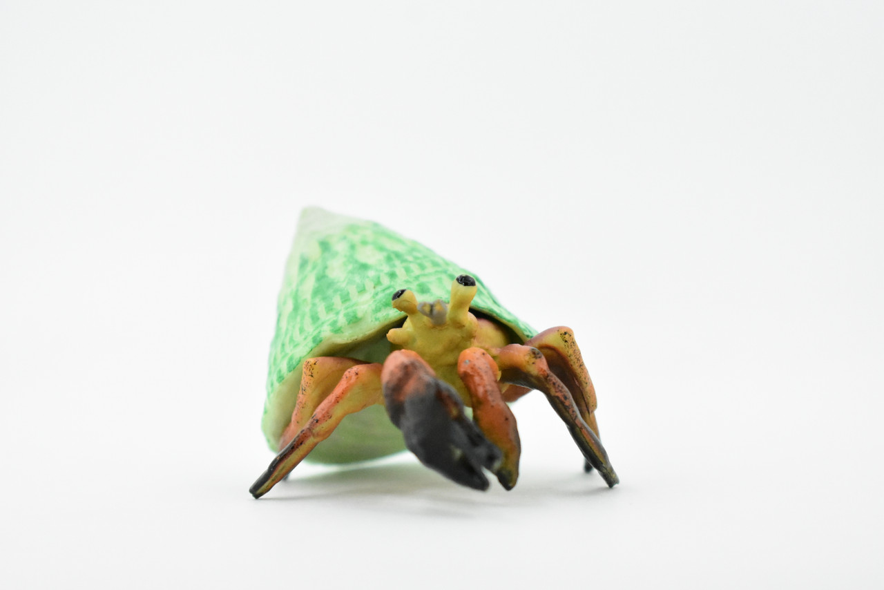 Crab, Hermit Crab, Museum Quality, Hand Painted, Rubber Crustaceans, Realistic Toy Figure, Model, Replica, Kids, Educational, Gift,       3"    CH255 BB123