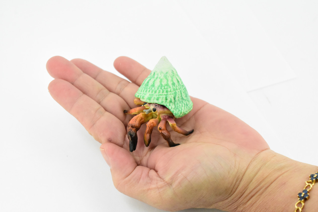 Crab, Hermit Crab, Museum Quality, Hand Painted, Rubber Crustaceans, Realistic Toy Figure, Model, Replica, Kids, Educational, Gift,       3"    CH255 BB123