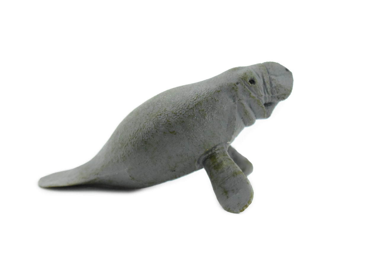 Manatee, Sea Cow, Dugongs, Museum Quality, Hand Painted, Very Realistic Rubber Mammal, Model, Educational, Gift,       3 1/2"     CH0256 BB123