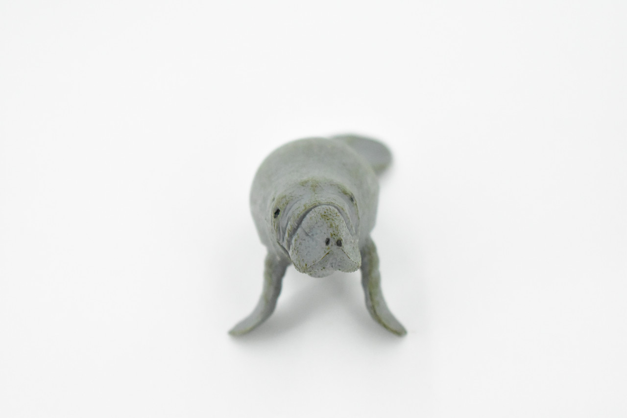 Manatee, Sea Cow, Dugongs, Marine Mammal, Very Nice Design, Hand Painted, Educational, Rubber Diorama Model, Realistic Toy Figure, Kids,  3 1/2 Inches.