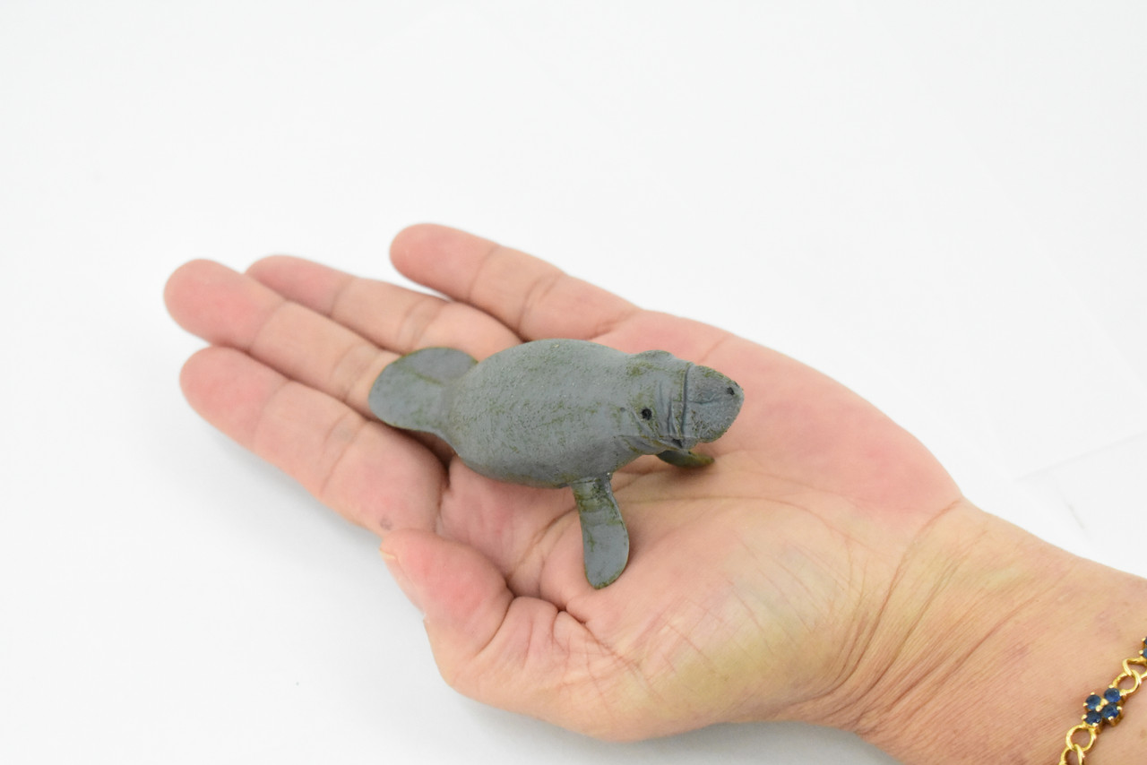 Manatee, Sea Cow, Dugongs, Museum Quality, Hand Painted, Very Realistic Rubber Mammal, Model, Educational, Gift,       3 1/2"     CH0256 BB123