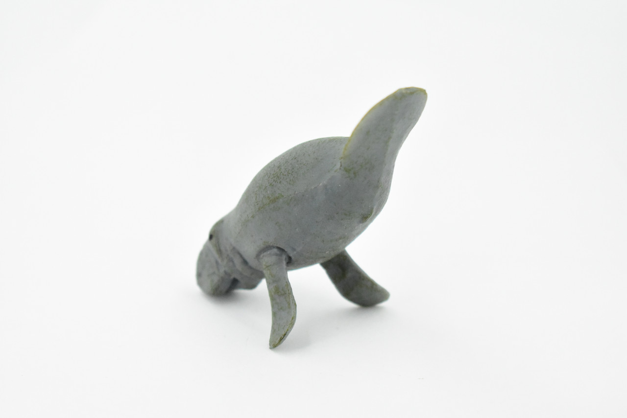Manatee, Sea Cow, Dugongs, Marine Mammal, Very Nice Design, Hand Painted, Educational, Rubber Diorama Model, Realistic Toy Figure, Kids,  3 1/2 Inches.
