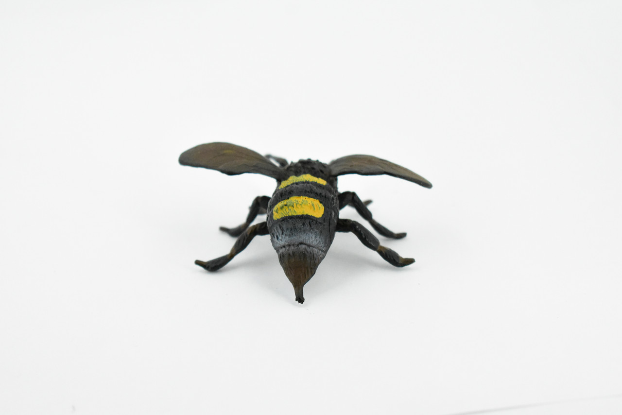 Bee, Bumble Bee, Bumblebee,  Rubber Insect, Hand Painted, Realistic Toy Figure, Model, Replica, Kids, Educational, Gift,       2 1/2"     CH257 BB123