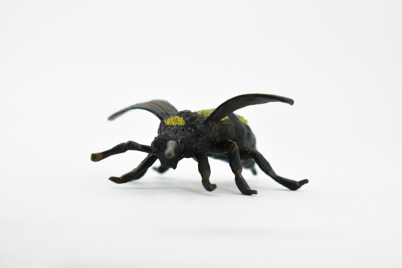 Bee, Bumblebee, Hornet, Yellowjacket, Museum Quality, Rubber Insect, Hand Painted, Realistic Toy Figure, Diorama Model, Kids, Educational, 2 1/2 Inches
