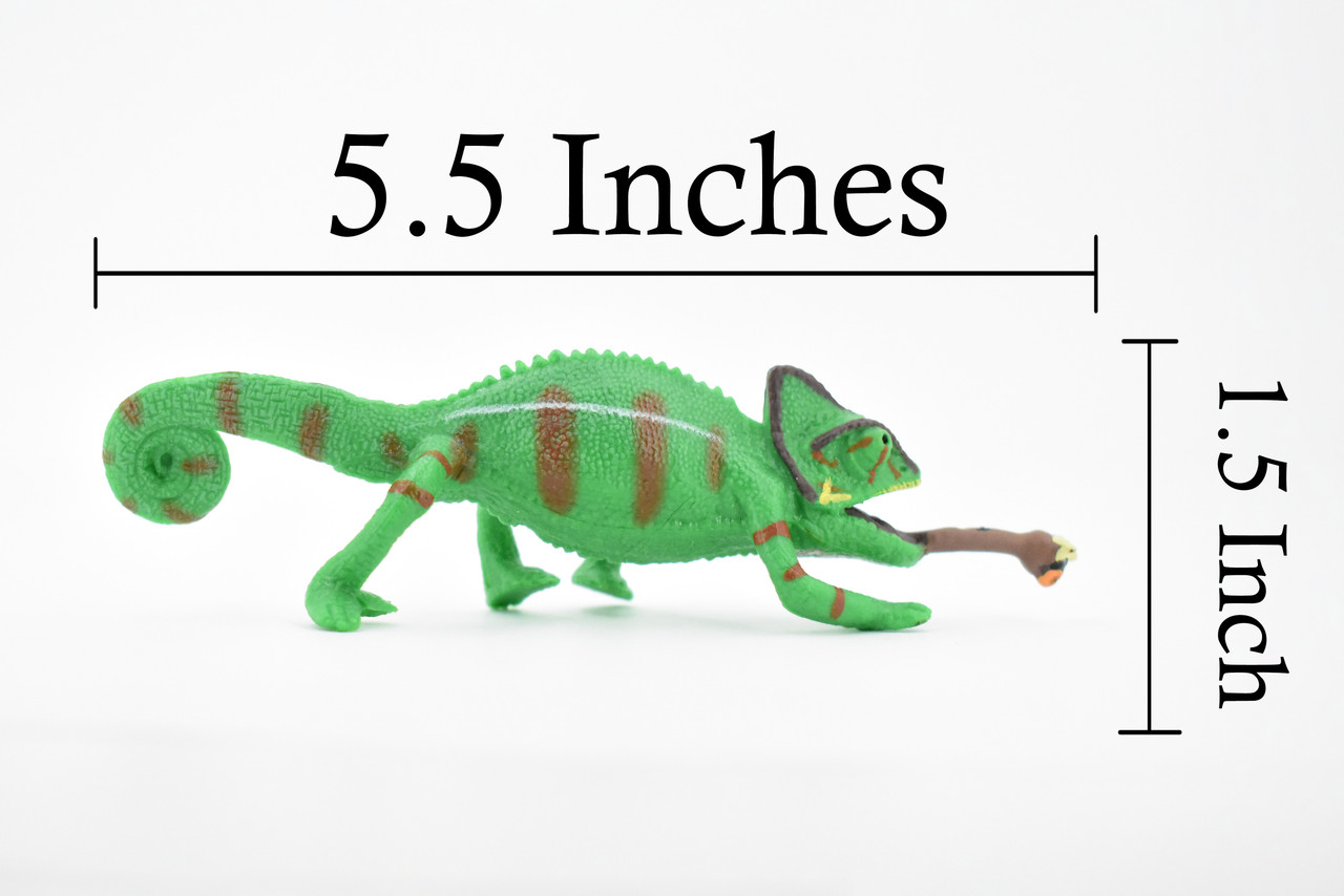 Lizard, Chameleon, Veiled Chameleon, Museum Quality Rubber Lizard, Educational, Realistic Hand Painted, , Lifelike, Educational, Gift,      5 1/2"    CH258 BB123