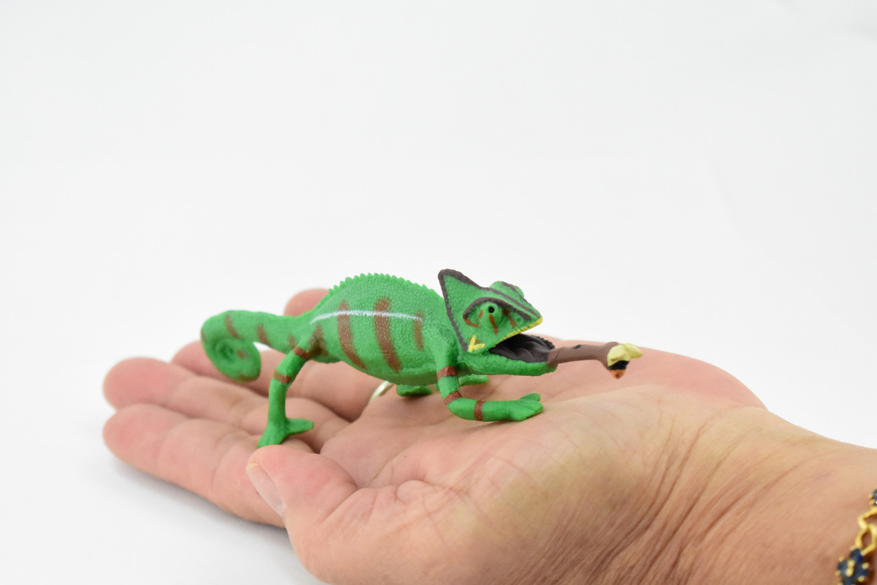 Lizard, Chameleon, Veiled Chameleon, Museum Quality Rubber Lizard, Educational, Realistic Hand Painted, , Lifelike, Educational, Gift,      5 1/2"    CH258 BB123