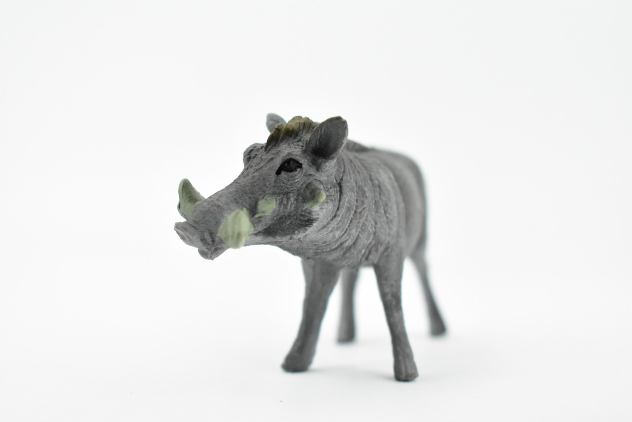 Warthog, Wart Hog, Museum Quality, Rubber Mammal, Hand Painted, Realistic Toy Figure, Model, Replica, Kids, Educational, Gift,         4"       CH261 BB123