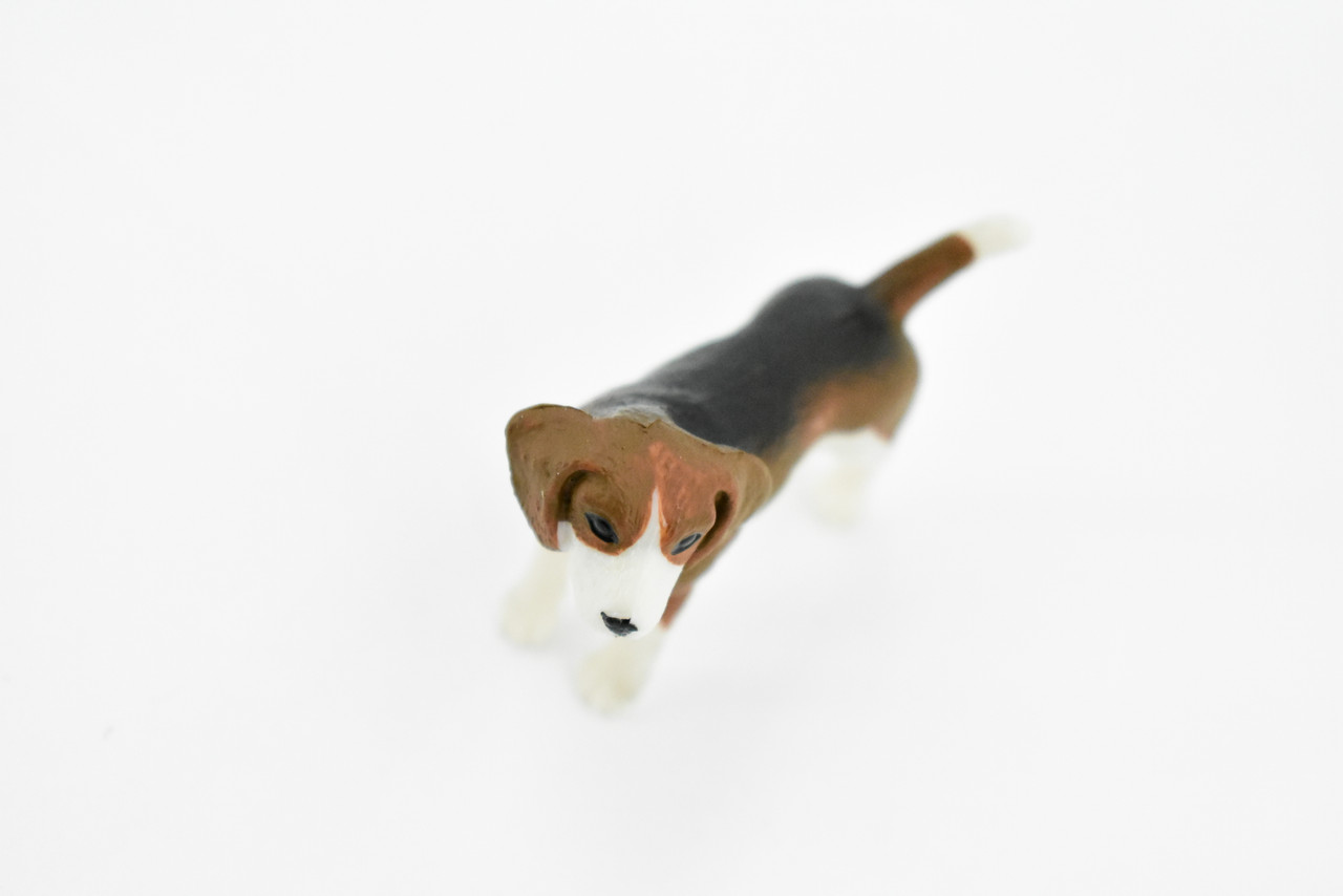 Beagle, Hound Dog, Rubber Canine, Hand Painted, Realistic Toy Figure, Model, Replica, Kids, Educational, Gift,      2"     CH262 BB123