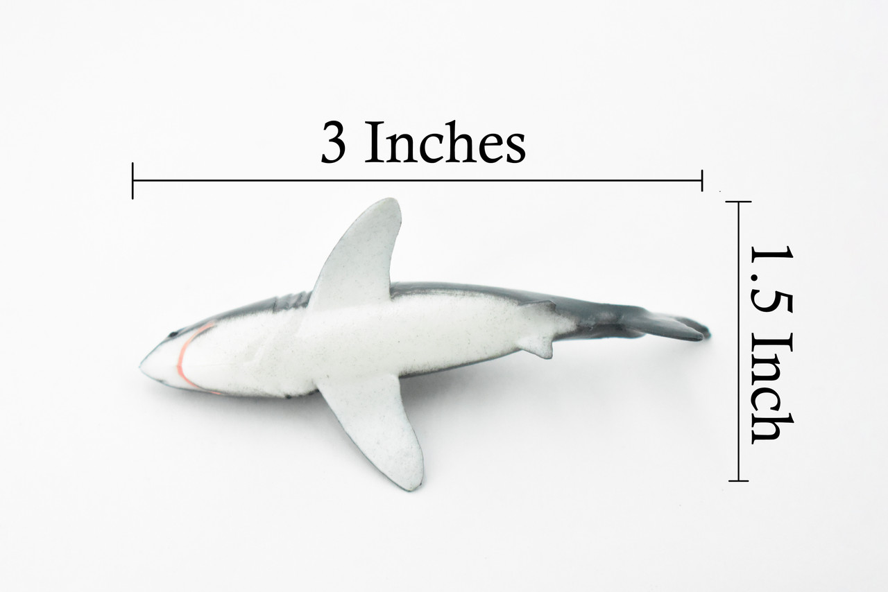 Great White, G.W. Shark, Very Nice Design, Hand Painted, Educational, Rubber Fish, Diorama Model, Replica, Realistic Toy Figure, Kids,  3 Inches.