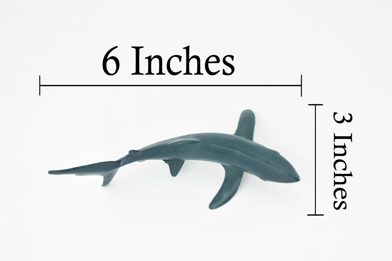 Shark, Blue Shark, Museum Quality, Hand Painted, Rubber Fish, Realistic Toy Figure, Model, Replica, Kids, Educational, Gift,    6"    CH264 BB124