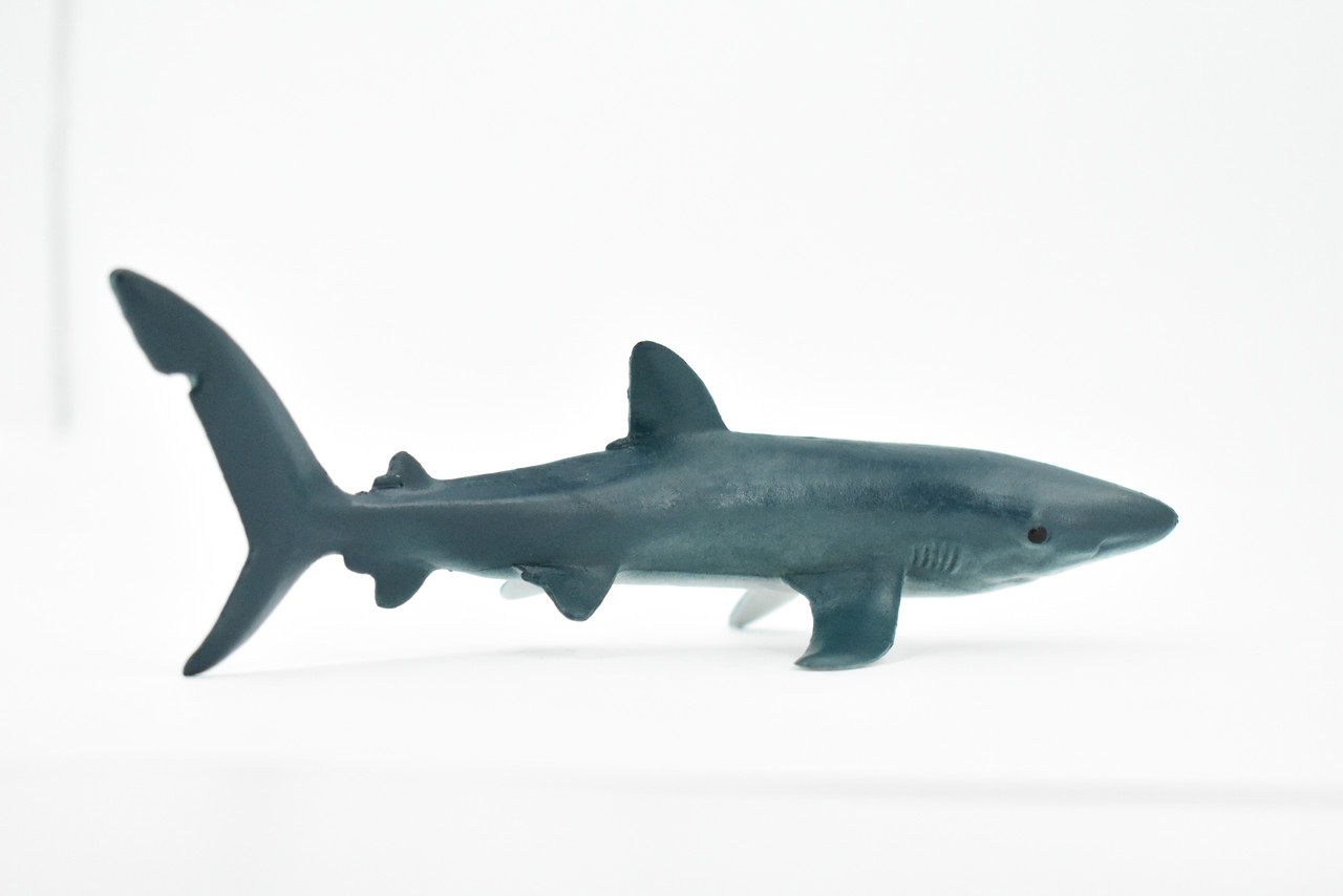 Shark, Blue Shark, Museum Quality, Hand Painted, Rubber Fish, Realistic Toy Figure, Model, Replica, Kids, Educational, Gift,    6"    CH264 BB124