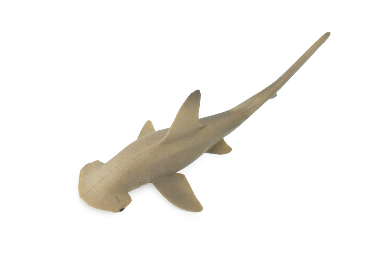Shark, Scalloped Hammerhead Shark, Baby, Pup, Museum Quality, Hand Painted,  Rubber Fish, Realistic Toy Figure, Kids, Educational, Gift, 6 CH265 BB124