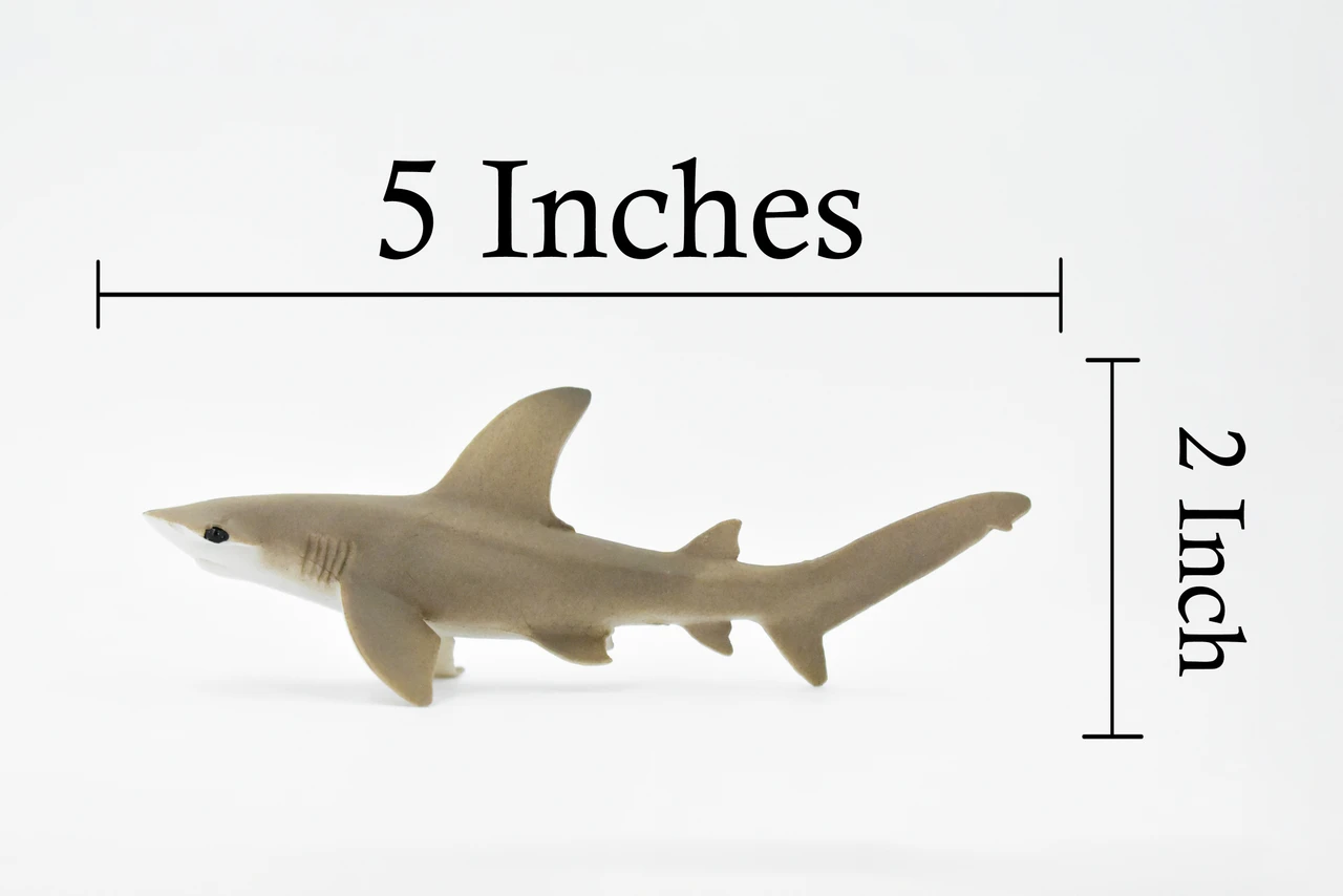 Scalloped Hammerhead Shark, Museum Quality, Educational, Rubber Fish, Hand Painted, Realistic Toy Figure, Diorama Model, Kids, Educational, 5 Inches. 