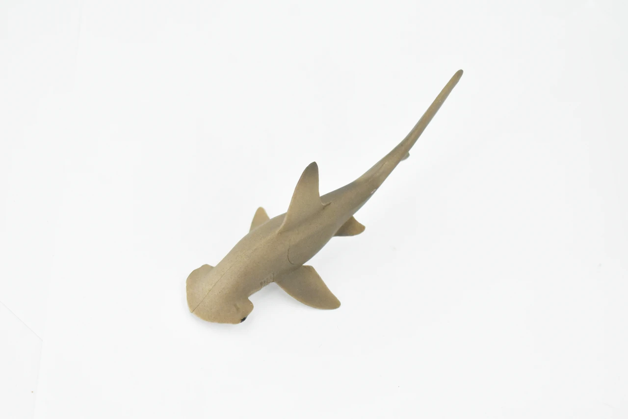 Scalloped Hammerhead Shark, Museum Quality, Educational, Rubber Fish, Hand Painted, Realistic Toy Figure, Diorama Model, Kids, Educational, 5 Inches. 
