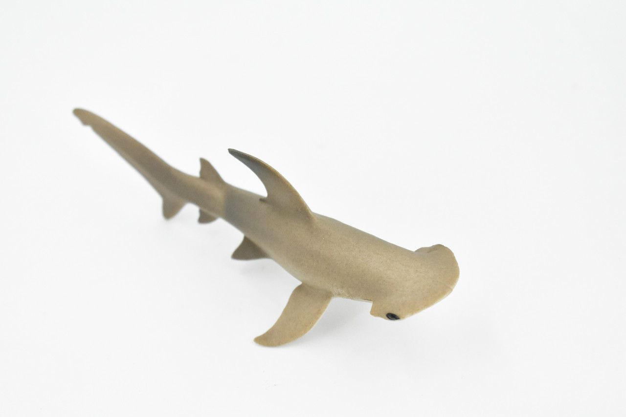 Shark, Scalloped Hammerhead Shark, Baby, Pup, Museum Quality, Hand Painted, Rubber Fish, Realistic Toy Figure, Kids, Educational, Gift,    5"    CH265 BB124