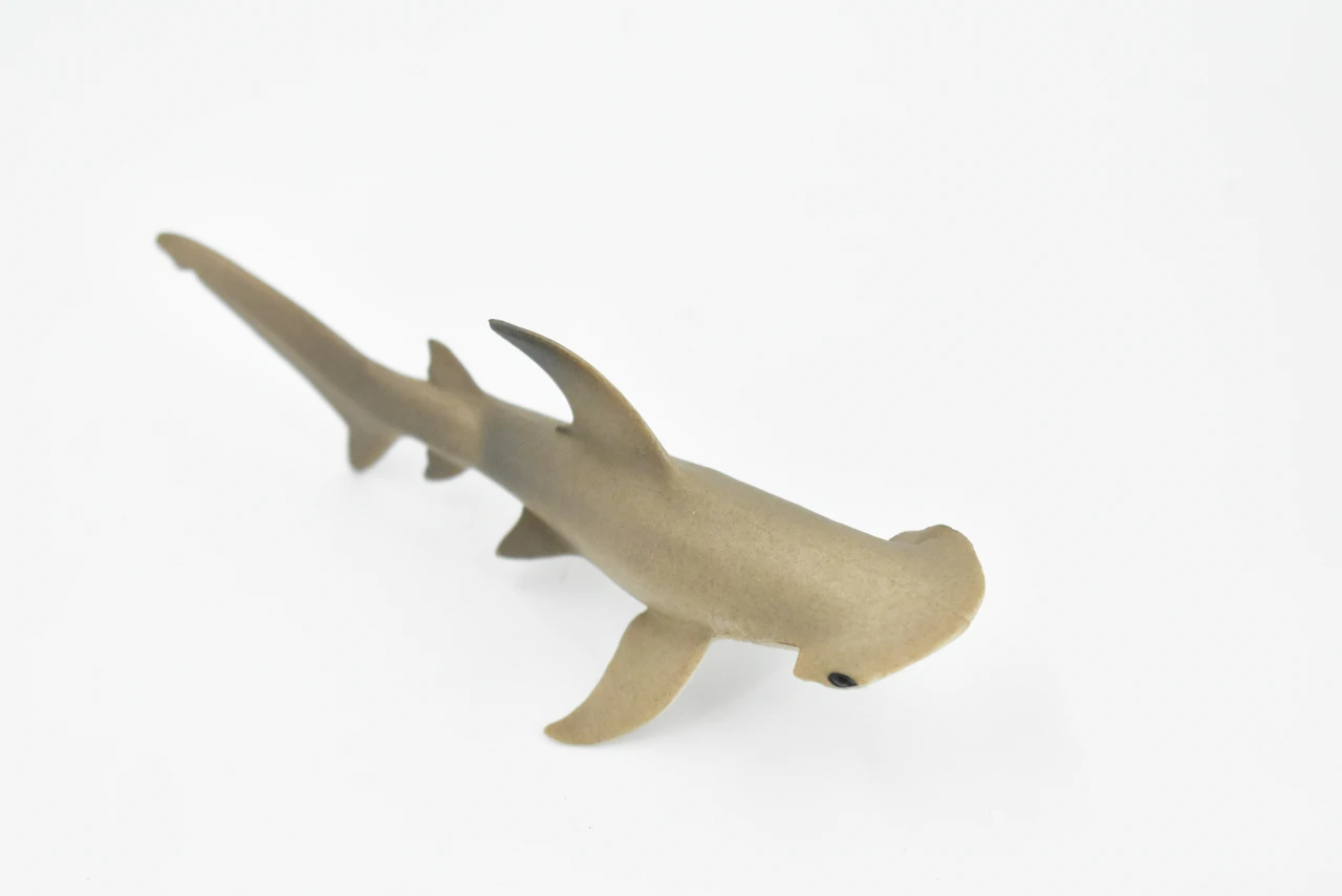 Scalloped Hammerhead Shark, Museum Quality, Educational, Rubber Fish, Hand Painted, Realistic Toy Figure, Diorama Model, Kids, Educational, 5 Inches. 