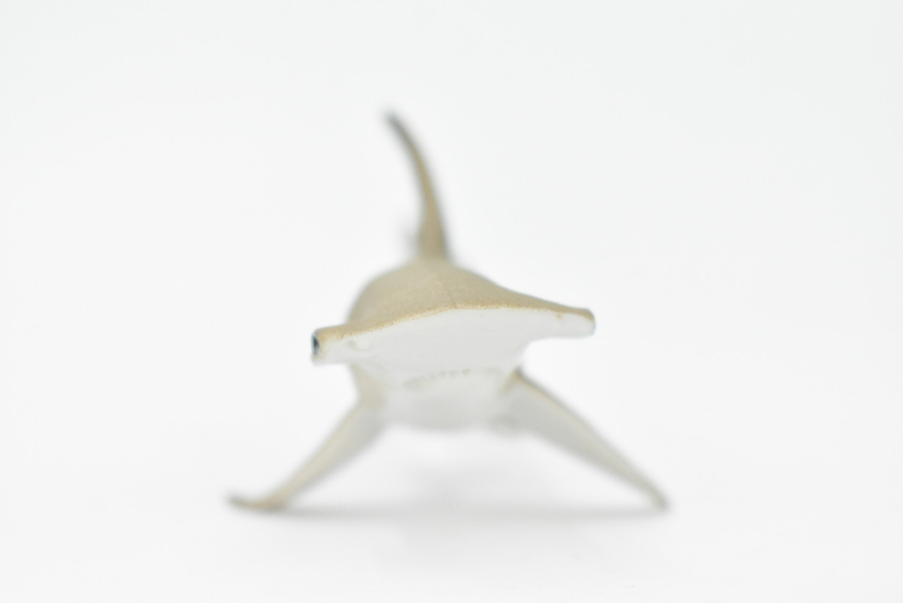 Shark, Scalloped Hammerhead Shark, Baby, Pup, Museum Quality, Hand Painted, Rubber Fish, Realistic Toy Figure, Kids, Educational, Gift,    5"    CH265 BB124