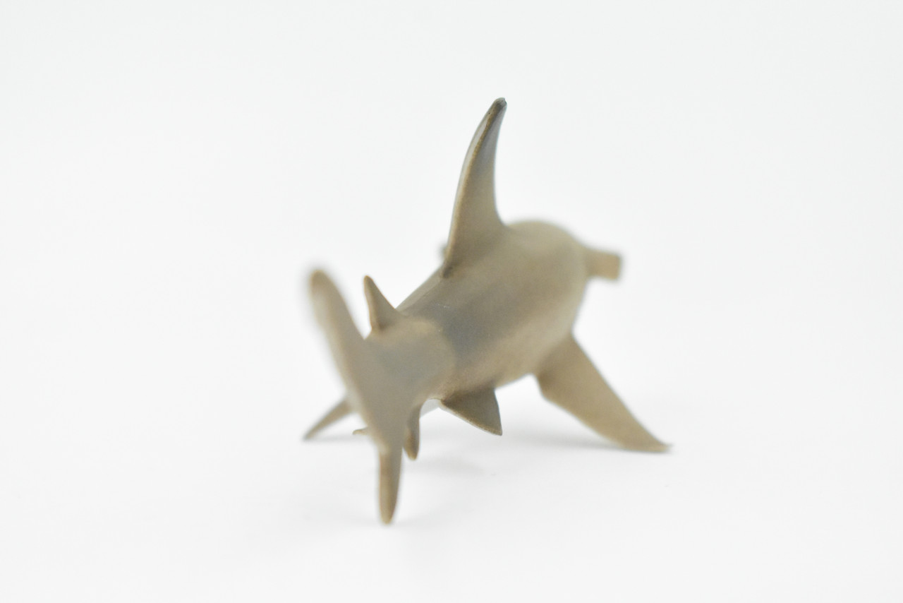 Shark, Scalloped Hammerhead Shark, Baby, Pup, Museum Quality, Hand Painted, Rubber Fish, Realistic Toy Figure, Kids, Educational, Gift,    5"    CH265 BB124