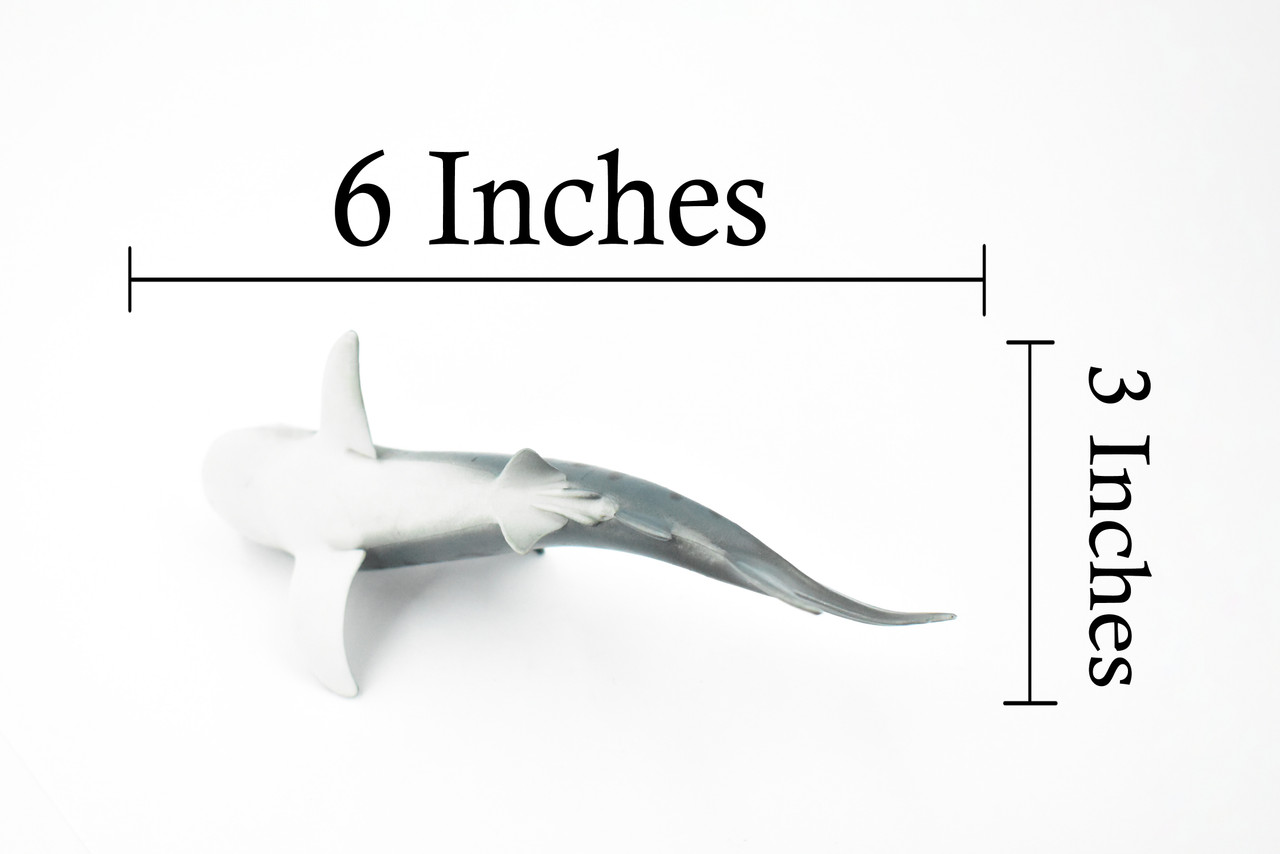 Tiger Shark, Baby, Pup, Museum Quality, Educational, Hand Painted, Rubber Fish, Realistic Toy Figure, Diorama Model, Replica, Kids, 6 Inches. 