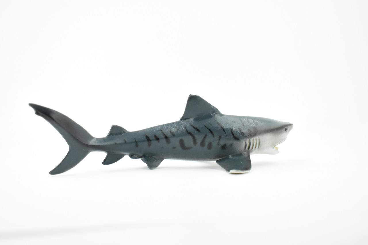 Tiger Shark, Baby, Pup, Museum Quality, Educational, Hand Painted, Rubber Fish, Realistic Toy Figure, Diorama Model, Replica, Kids, 6 Inches. 